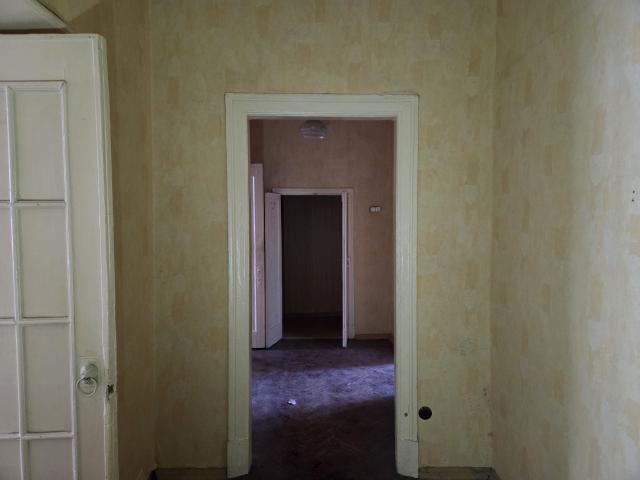 Лот 4024837